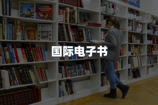 国际电子书
